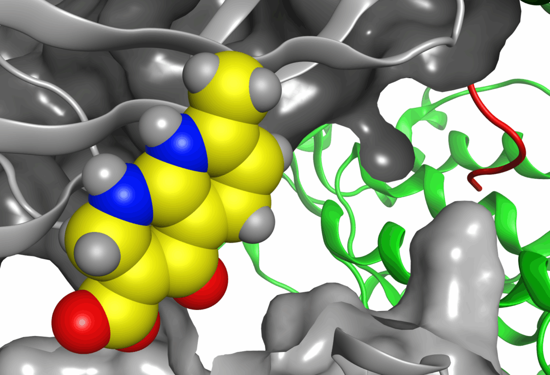 The binding site of TGR targeted by small fragments